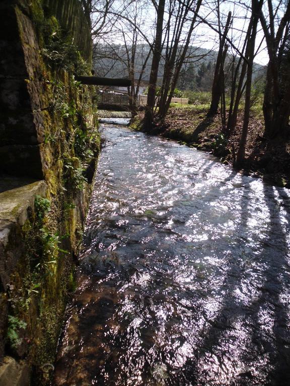 Pension - Gaestehaus Zum Pfaelzerwald Hinterweidenthal Εξωτερικό φωτογραφία
