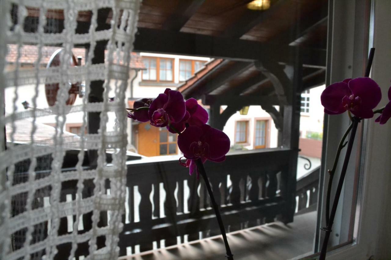 Pension - Gaestehaus Zum Pfaelzerwald Hinterweidenthal Εξωτερικό φωτογραφία